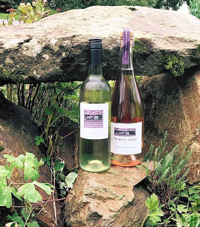 Jabajak Vineyard Restaurant & Rooms