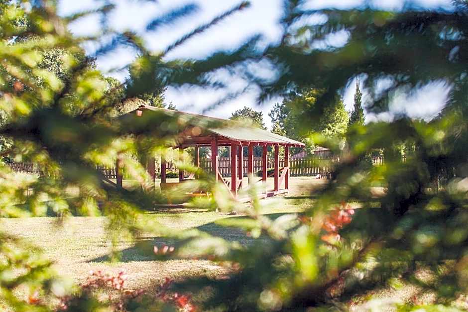 Pas Kaziuką namukas