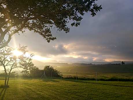 Double or Twin Room with Mountain View