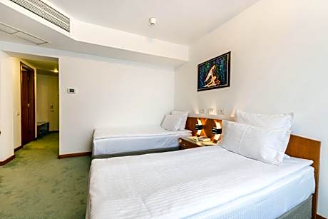 Double Room Attic Style