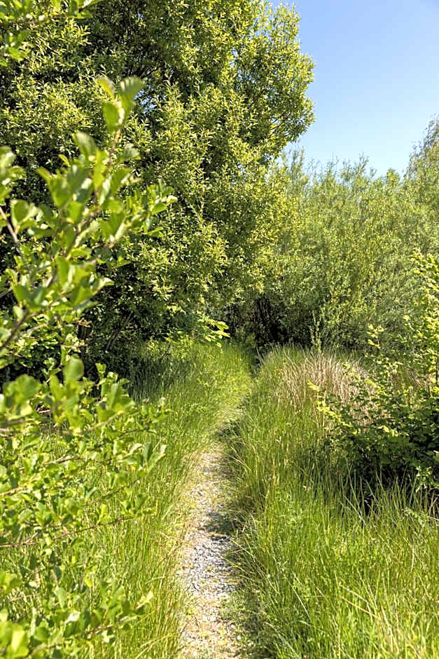 The Common Knowledge Centre