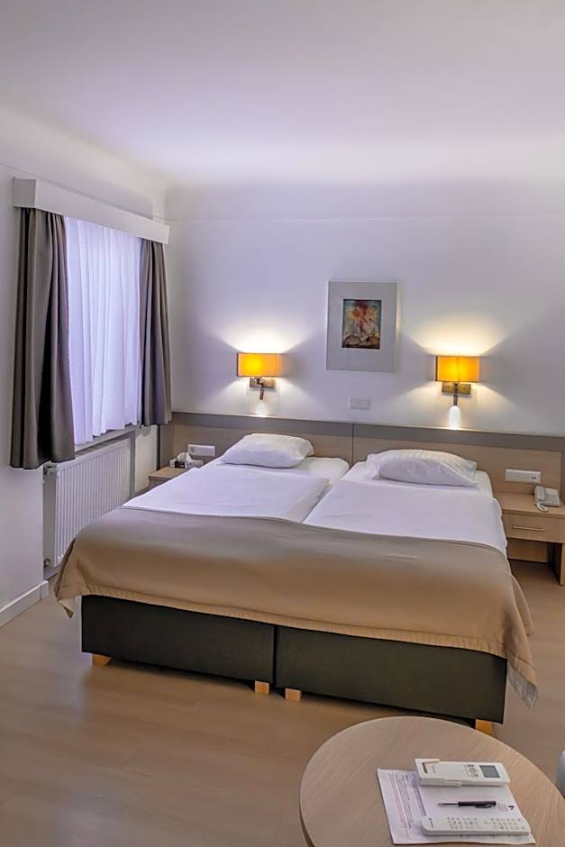 Hotel Francais