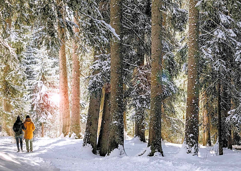 Maiensässhotel Guarda Val