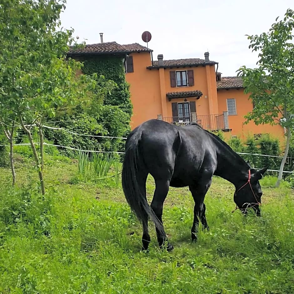 Bed and Breakfast Balli coi Lupi
