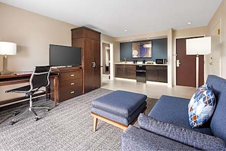 Suite, 1 King, Sofa bed