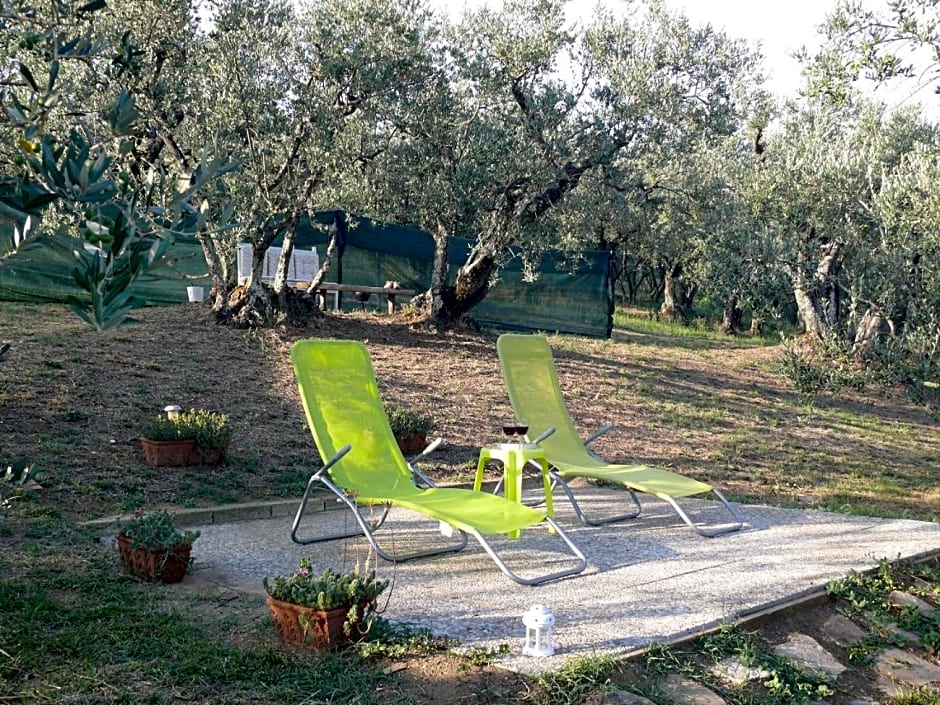 Antica Bottega Di Vinci – Vinci, IA