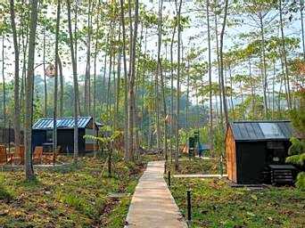 Bobocabin The Tavia, Puncak