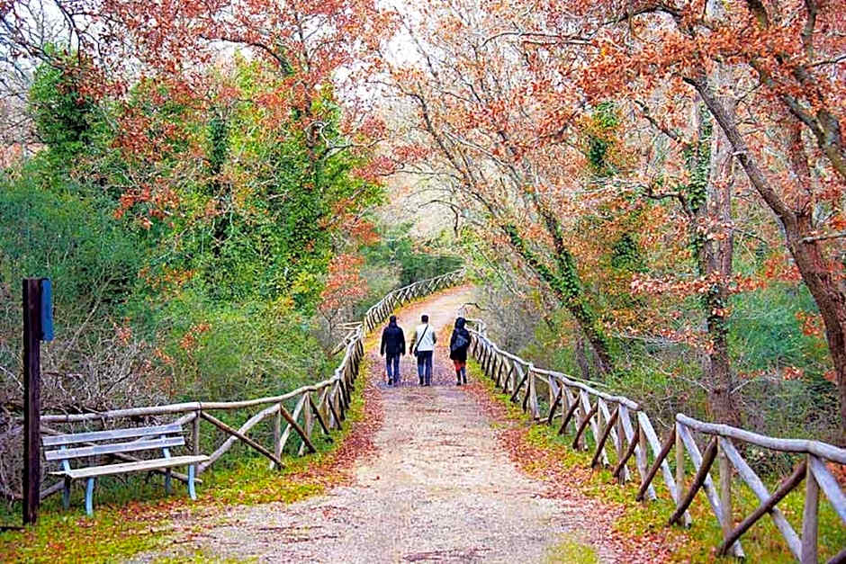 Trulli Holiday Albergo Diffuso