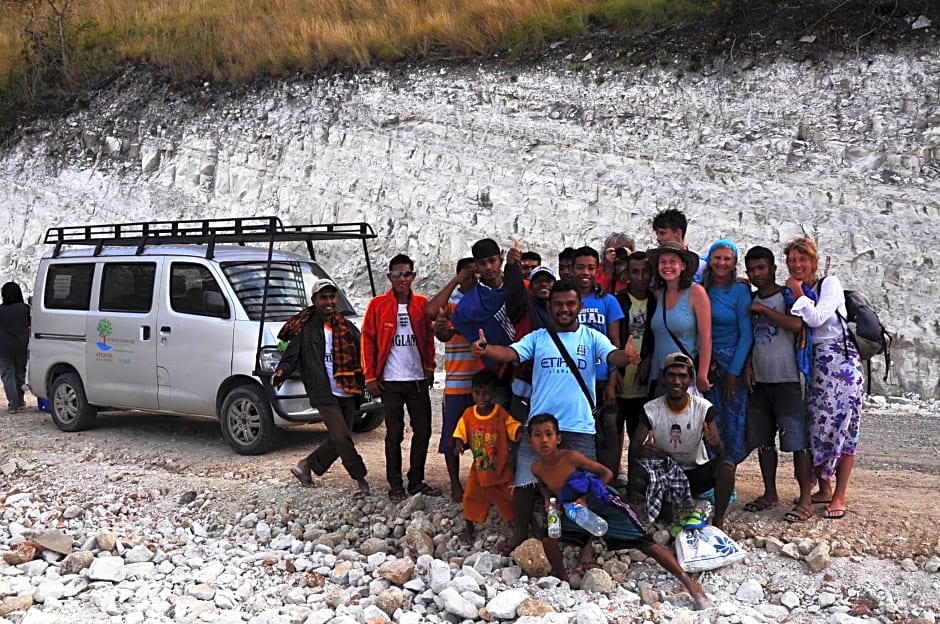 4 Pohon - Les 4 Arbres