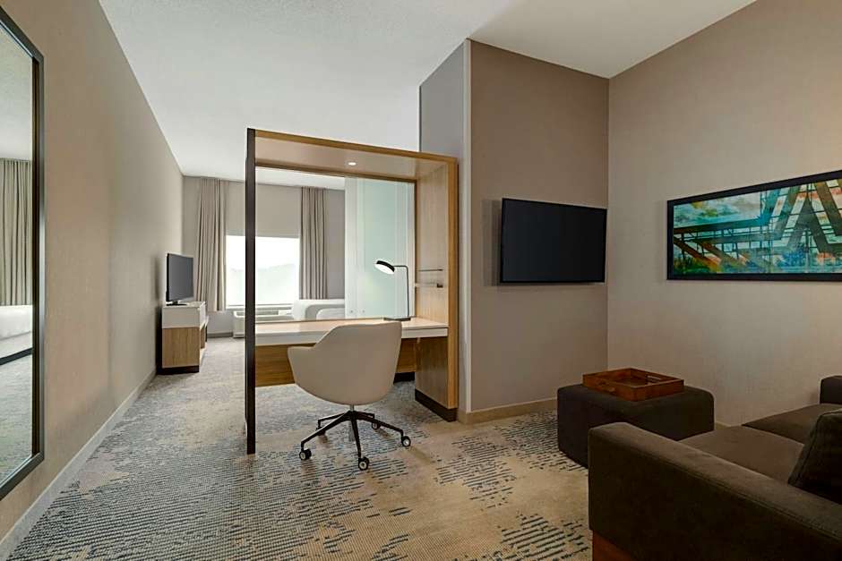 SpringHill Suites by Marriott Roanoke