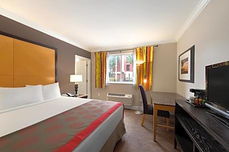 King Room- Non-Smoking