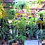 Hotel Mansión Virreyes by Rotamundos