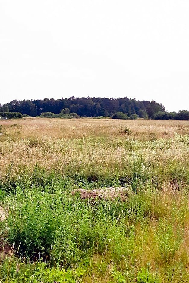 Domki holenderskie ,, Lataj¿cy Holender"