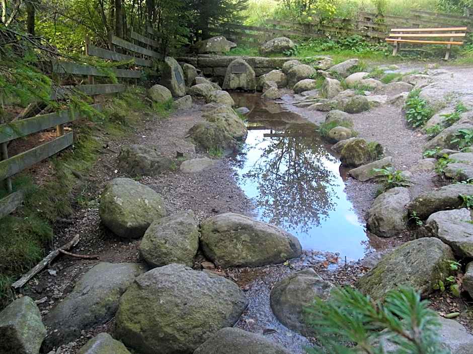 ZUR TRAUBE Schwarzwaldhotel & Restaurant am Titisee