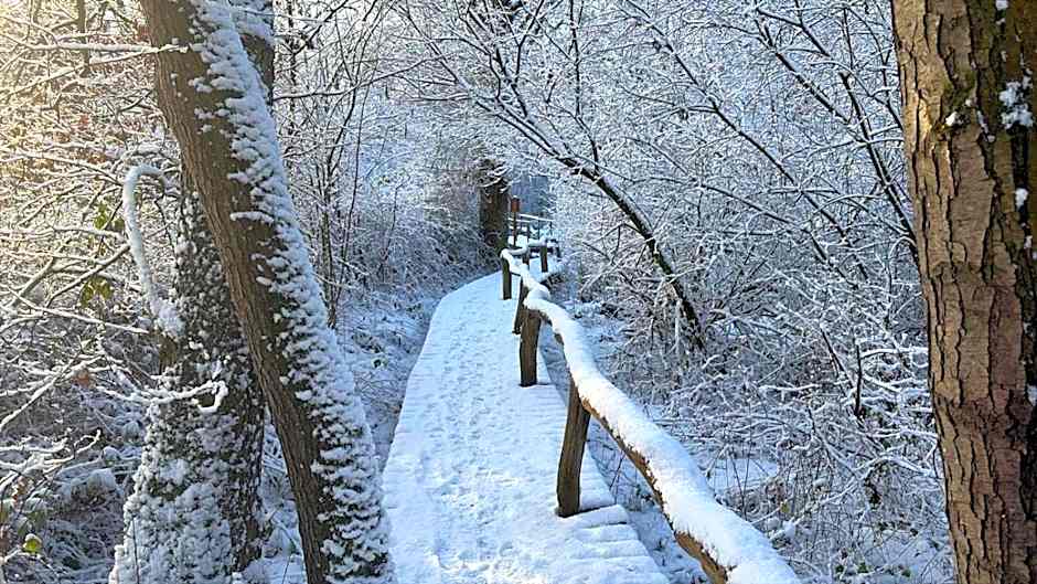 B&B 't Mjeels Pierke