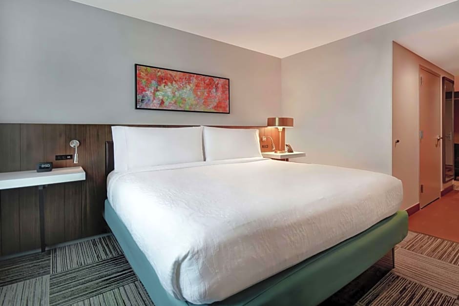 Hilton Garden Inn Houston/Galleria Area