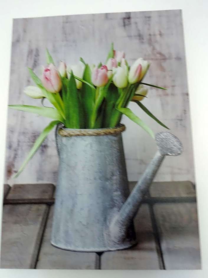 Villa Des Hortensias