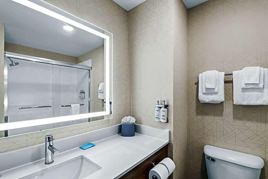 Holiday Inn Express Hotel & Suites Council Bluffs - Convention Center Area By IHG