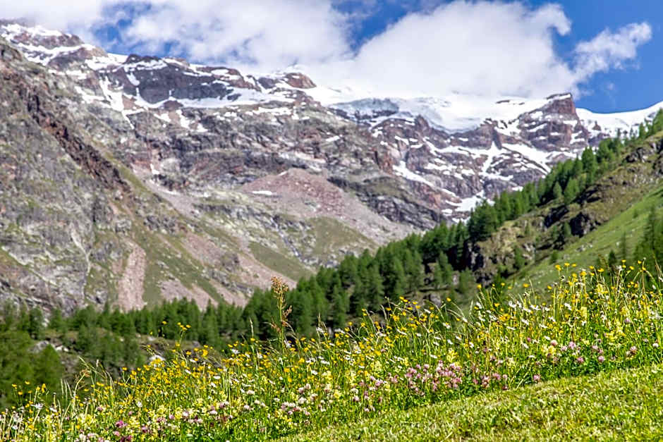 Alta Luce Mountain Lodge