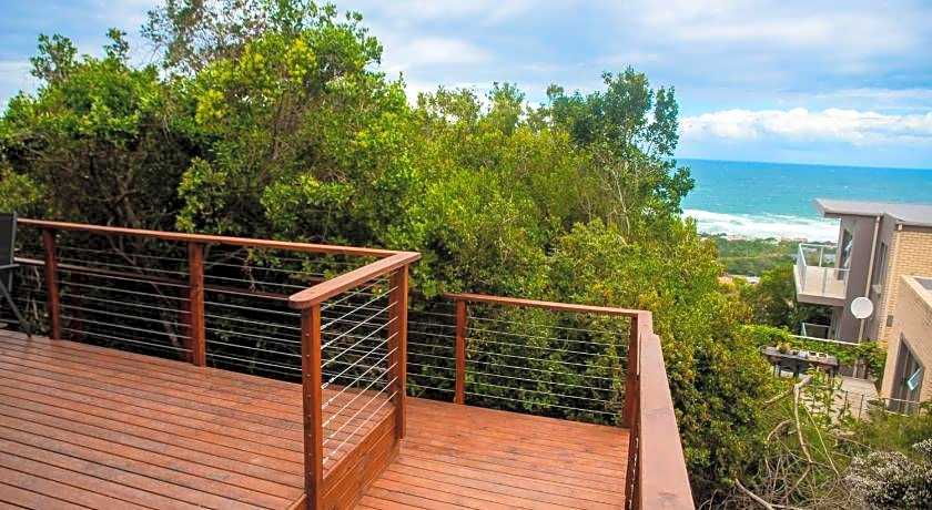 Forest Hill Wilderness