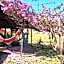 POUSADA ESTAÇÃO MARMELO