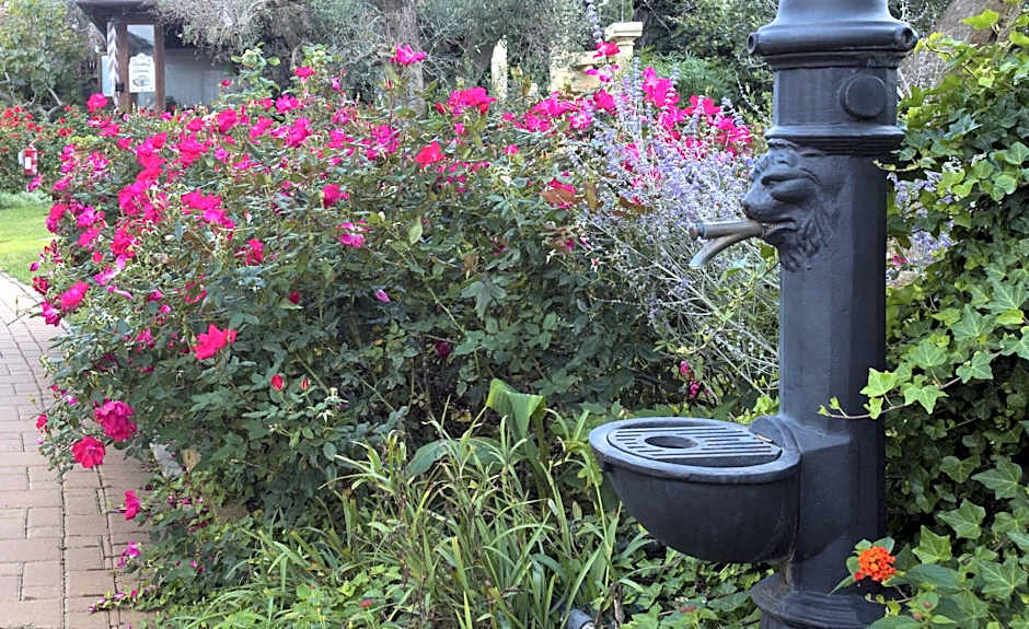 Villa Vacanze Paradiso