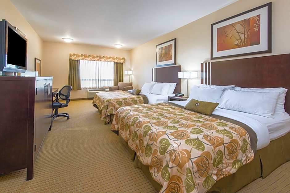Photo 1 of 6 of Efficiency 2 Queen Beds
