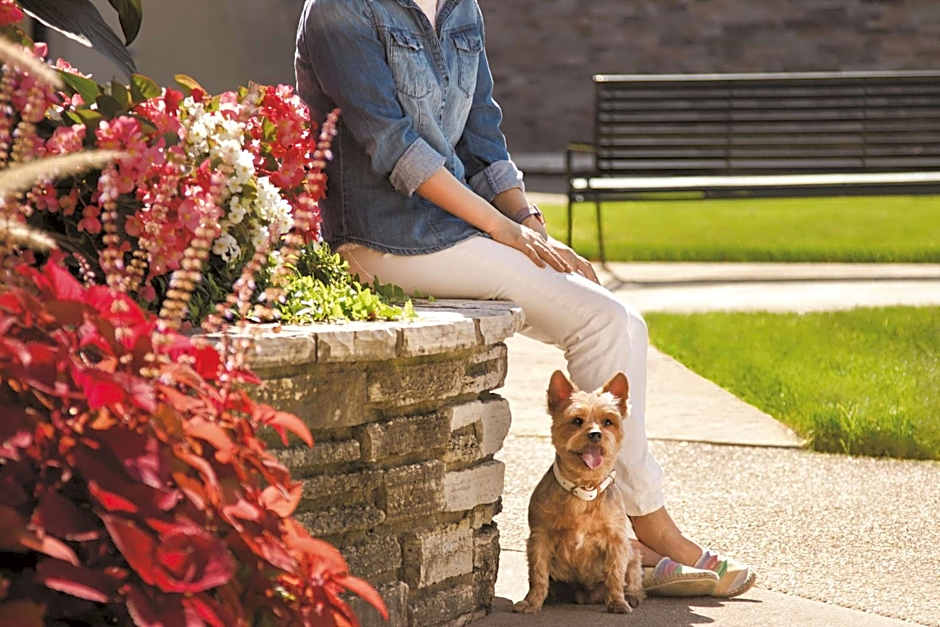 Hyatt Place Chicago O'Hare Airport