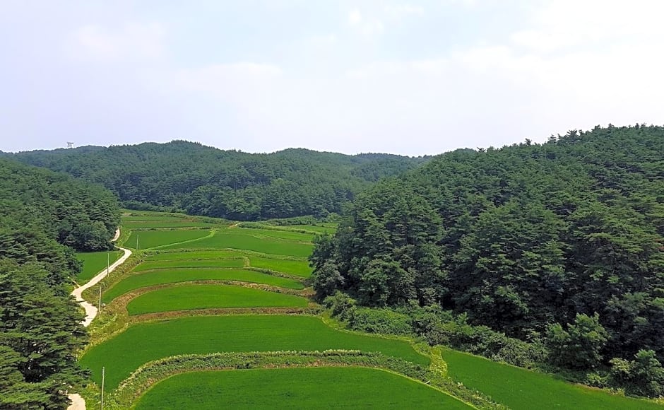 Yangyang International Airport Hotel