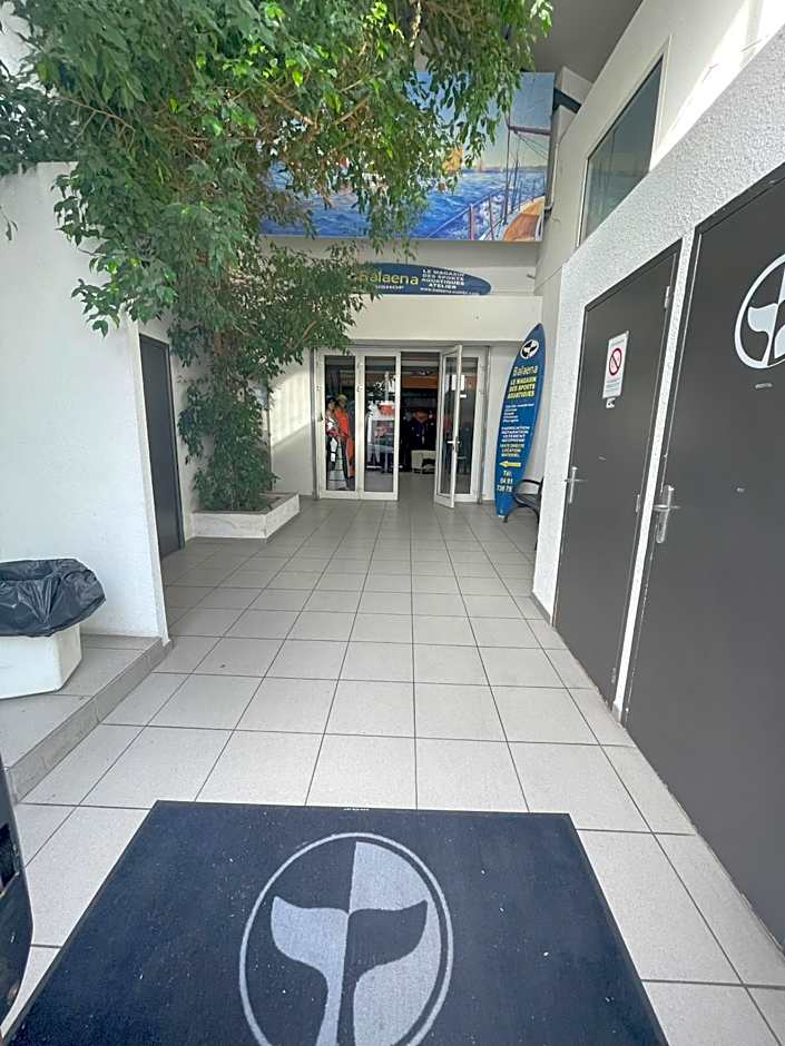 Balaena hébergement