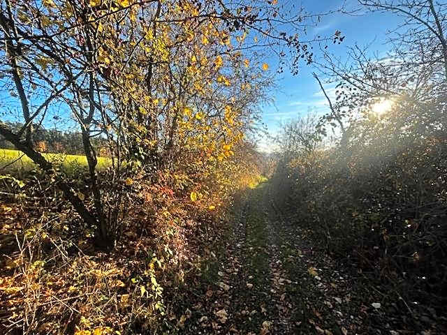 Chata na konci louky