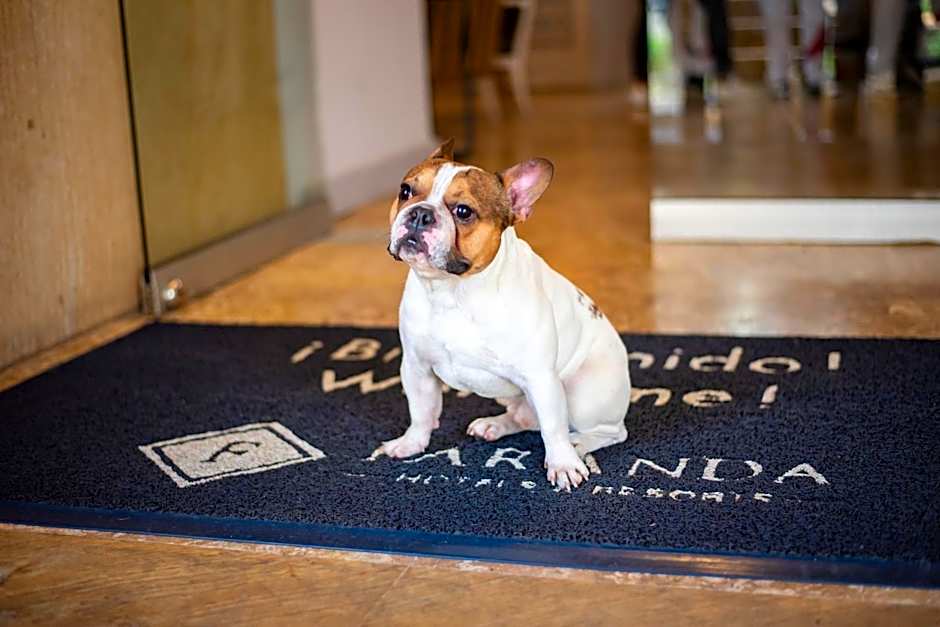 Faranda Express Belvedere