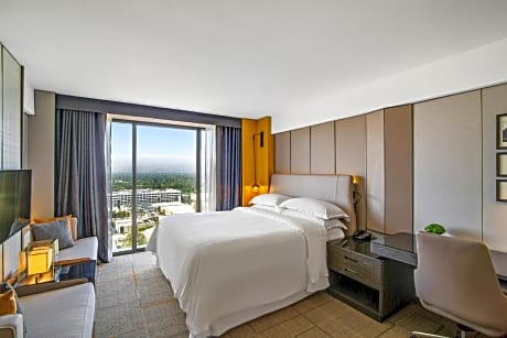 Club level, Guest room, King