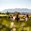 Palacio de Luces, Small Luxury Hotels