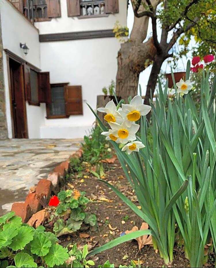 ŞİRİNCE BAHÇE OTEL