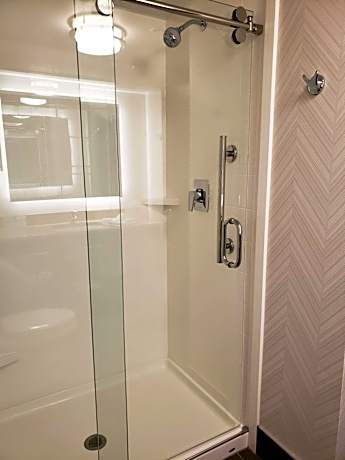 1 King Bed Nonsmoking