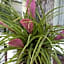 St. Lucia Wetlands Guest House