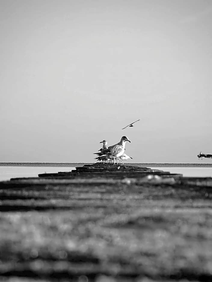 Ośrodek wczasowy Flauta