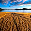 Abel Tasman Lodge