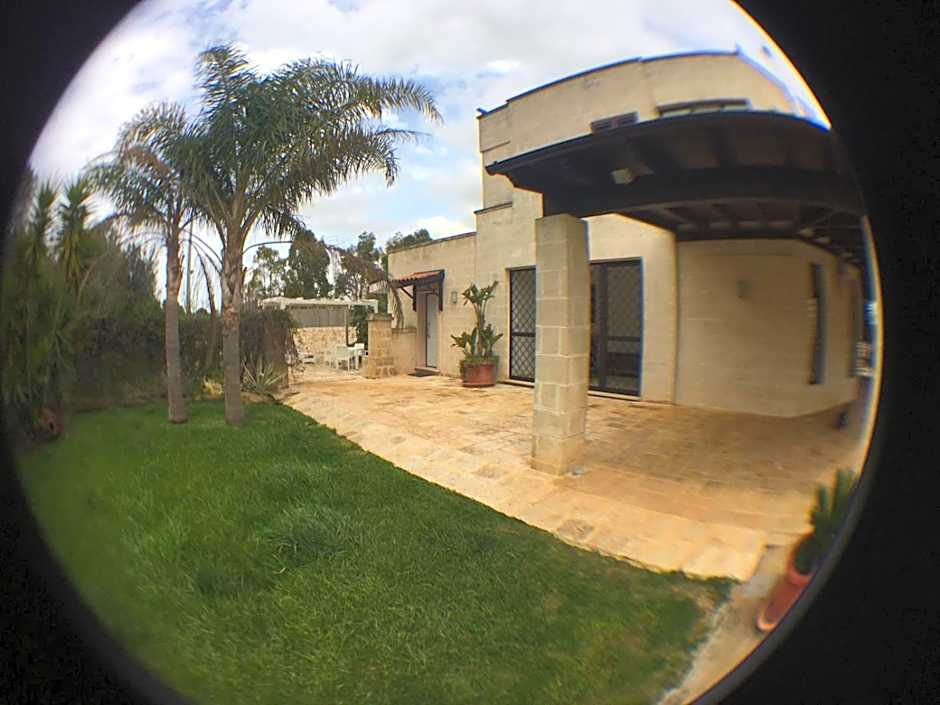 OLYMPUS PARK amnesia