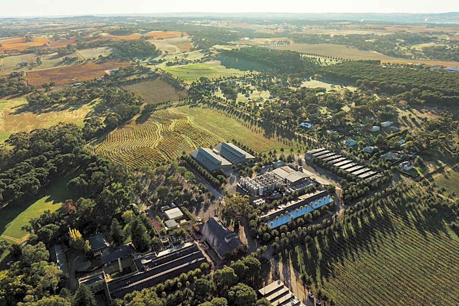 CABN X Seppeltsfield Barossa