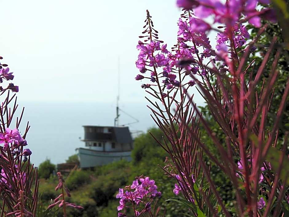 Alaska Adventure Cabins