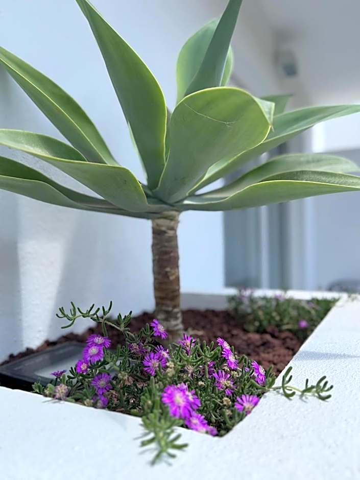 Urban Spaces Ibiza