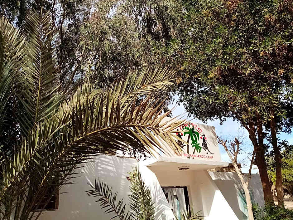 Oasis Fighting Kangaroo