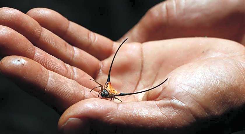 Anurak Community Lodge