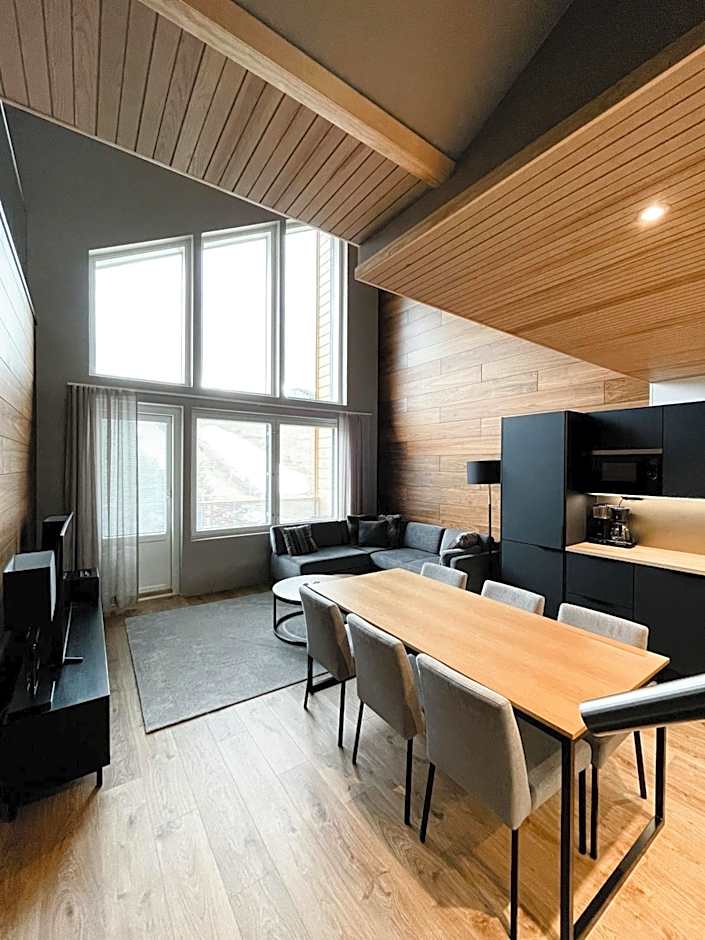 Levin Kunkku B penthouse