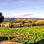Sumeru