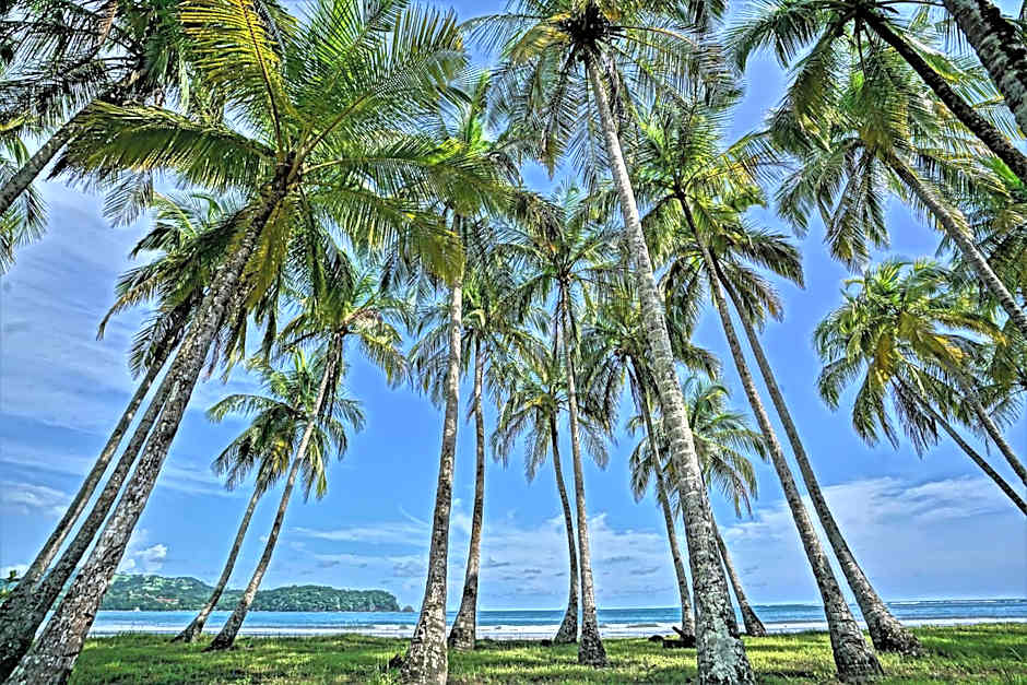 Nammbu Beach Front Bungalows