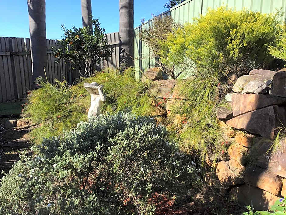 Serenity by the Lake