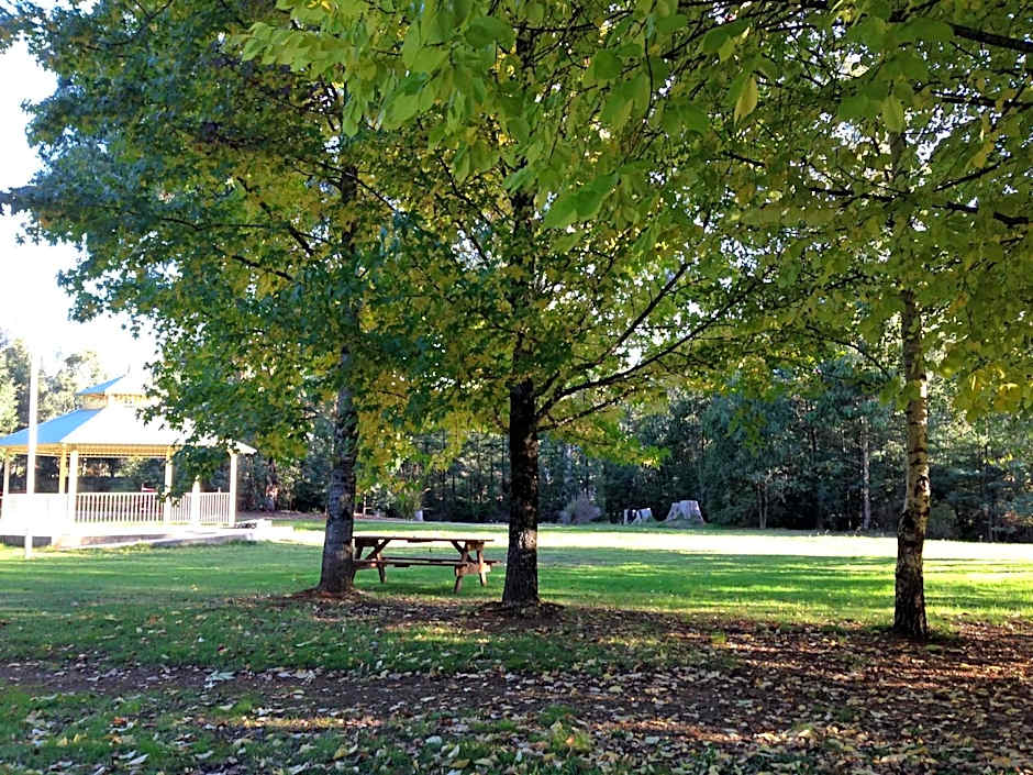 Goldberryaccommodation